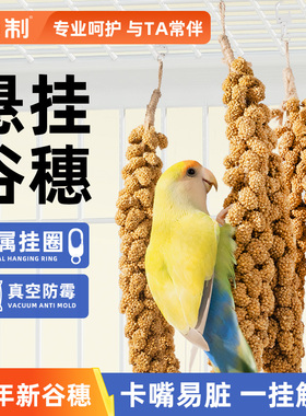 鹦鹉天然谷穗吊串黄谷子鸟粮玄凤虎皮牡丹小太阳专用解闷鸟零食