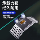Duoyu Tortoise поставляется с бразильской черепахой для скалолазания черепаха черепаха
