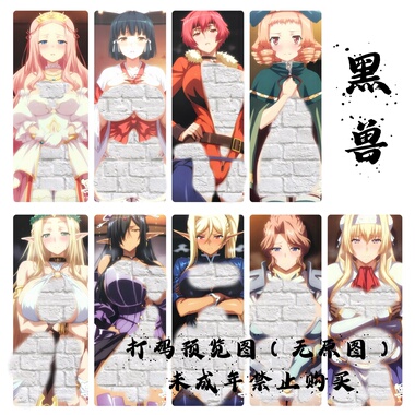 CAIMI制作6-6  日漫系列对魔忍fgo黑兽彩闪收藏卡（大卡63*88mm）