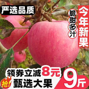 正宗陕西红富士苹果水果新鲜脆甜冰糖心整箱10斤当季应季水果现摘
