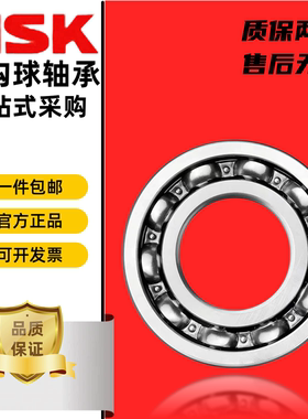 日本进口NSK轴承6215 6216 6217 6218 6219 6220 6222 6224 ZZ DU