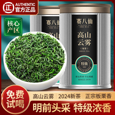 2024新茶日照云雾绿茶特级茶叶