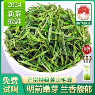黄山毛峰 2024 新茶特別な安徽省毛峰緑茶明前毛健若芽春茶ルーズティー 250 グラム