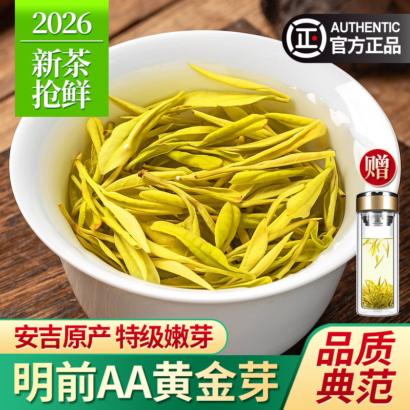 2026新茶黄金芽茶叶特级安吉奶白茶明前绿茶春茶散装礼盒装500g