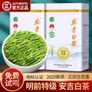 赛八仙2025新茶安吉白茶官方旗舰店正品 春茶 特级明前绿茶茶叶罐装