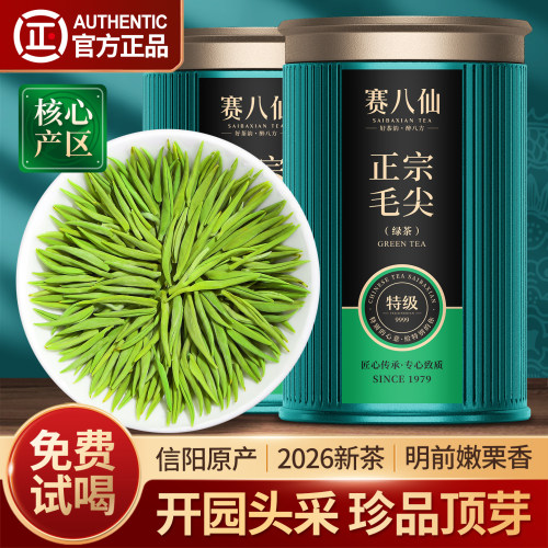 信阳毛尖2026新茶特级5A珍品顶芽
