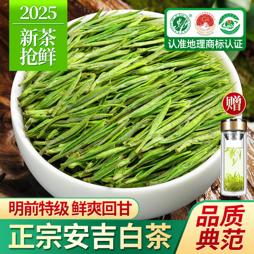 安吉白茶2025新茶特级茶叶绿茶