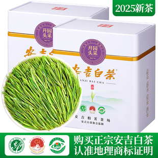 安吉白茶2025新茶特级嫩芽明前开园头采绿茶高端茶叶礼盒装 250g