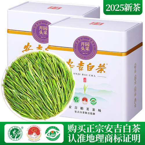 安吉白茶2025新茶特级头采茶叶