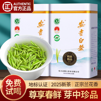 2025新茶安吉白茶9A珍品特级茶叶