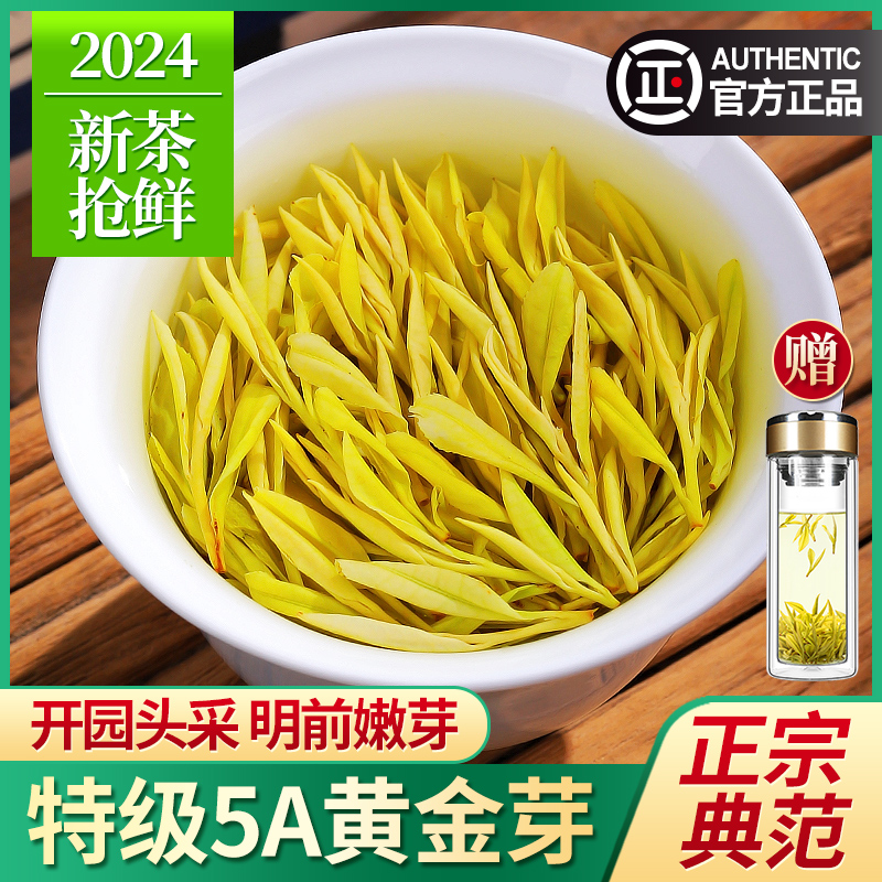 黄金芽茶叶2024新茶特级5A绿茶