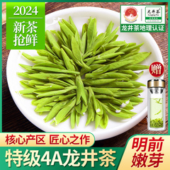 2024新茶明前龙井特级4A绿茶正宗杭州龙井茶嫩芽春茶散装茶叶500g