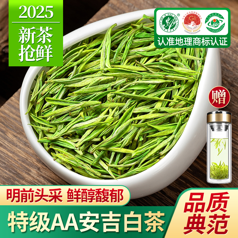 安吉白茶2025新茶明前3A特级茶叶