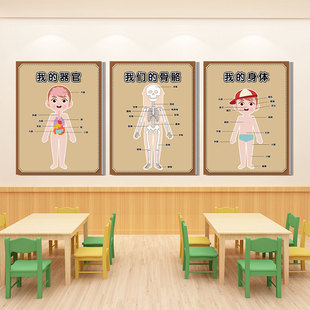 幼儿园小医院科学区域角环创布置骨骼器官五官皮肤身体结构认知图