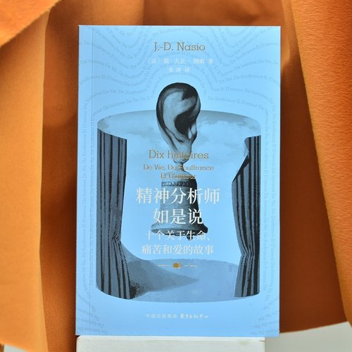 精神分析师如是说：十个关于生命、痛苦和爱的故事（法国国民级心理咨询师的疗愈手记，法国广播电台特别推荐）