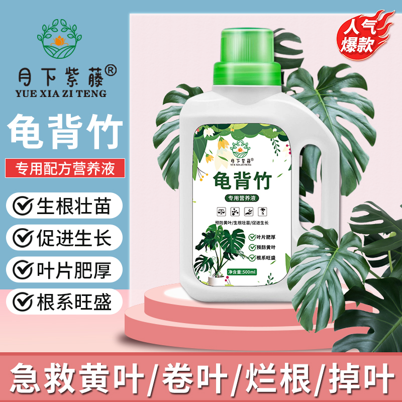 龟背竹专用营养液植物型花肥