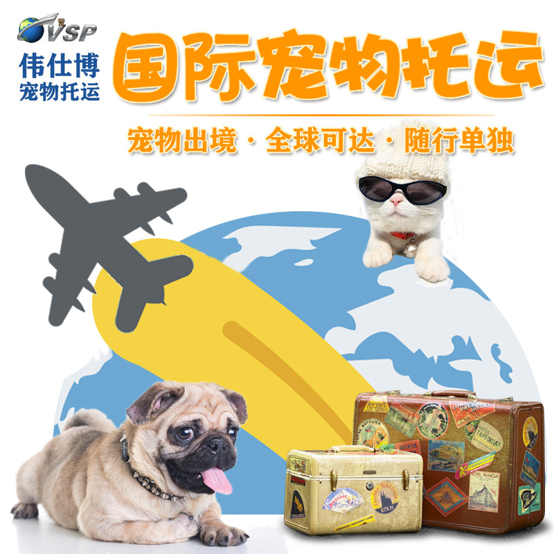 国际宠物托运猫狗空运手续血检美国加拿大泰国日本韩国菲律宾越南