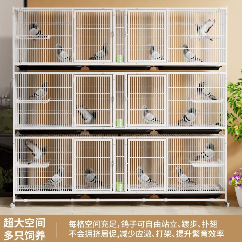 鸽子笼鸽子笼子大号养殖批发鸽子笼家用养鸽笼繁殖笼鸽子用具