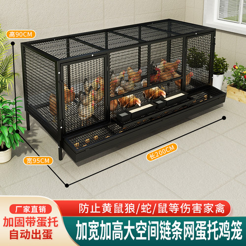 厂家直销蛋鸡笼加密链条网自动出蛋防啄蛋多门带喂食孔超大空间