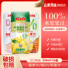 众果美味100%果汁代餐饮料菠萝桃汁苹果汁250ml*24盒整箱果味饮品
