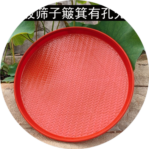 筛子簸箕家用晒菜干货晒东西神器塑料粗细孔筛网筛米虫的圆形塞子