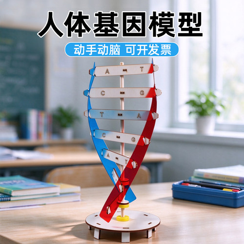 人体基因DNA模型螺旋木制科技小制作科学实验器材科普教具新品