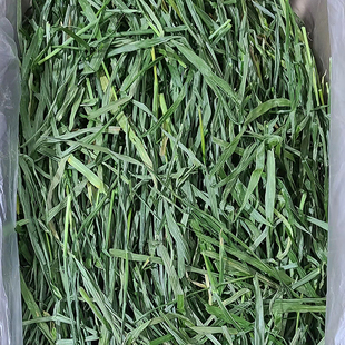 烘干提莫西草全叶南提草兔子龙猫荷兰猪豚鼠干草猫草排毛毛重2斤