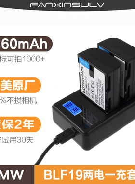 适用于松下GH5S相机电池DMW-BLF19E单反DMC-GH3 GH5 GH4充电器G9LGK 相机配件USB双座充非原装大容量