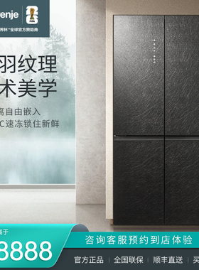 gorenje/古洛尼 十字四门对开全嵌入式家用606L电冰箱NRM9193C1B