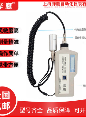 HG-2508 便携式测振仪  分体式数显手持测振仪  振动测量仪 骅鹰