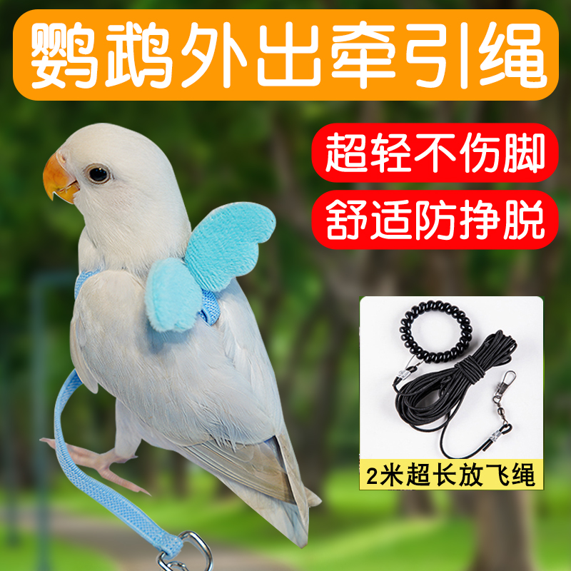 鹦鹉外出牵引绳放飞绳