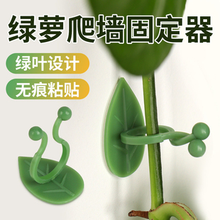 绿萝爬藤固定器绿植爬墙不伤墙支撑爬上神器爬墙花墙上固定卡扣