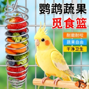 宠物喂食用具鹦鹉玄凤虎皮小鸟水果叉蔬菜苹果鸟用喂食器悬挂进食