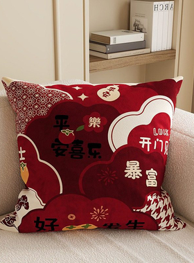 红色抱枕家用沙发客厅靠垫腰靠方形车用床头床上靠枕喜庆含芯抱枕