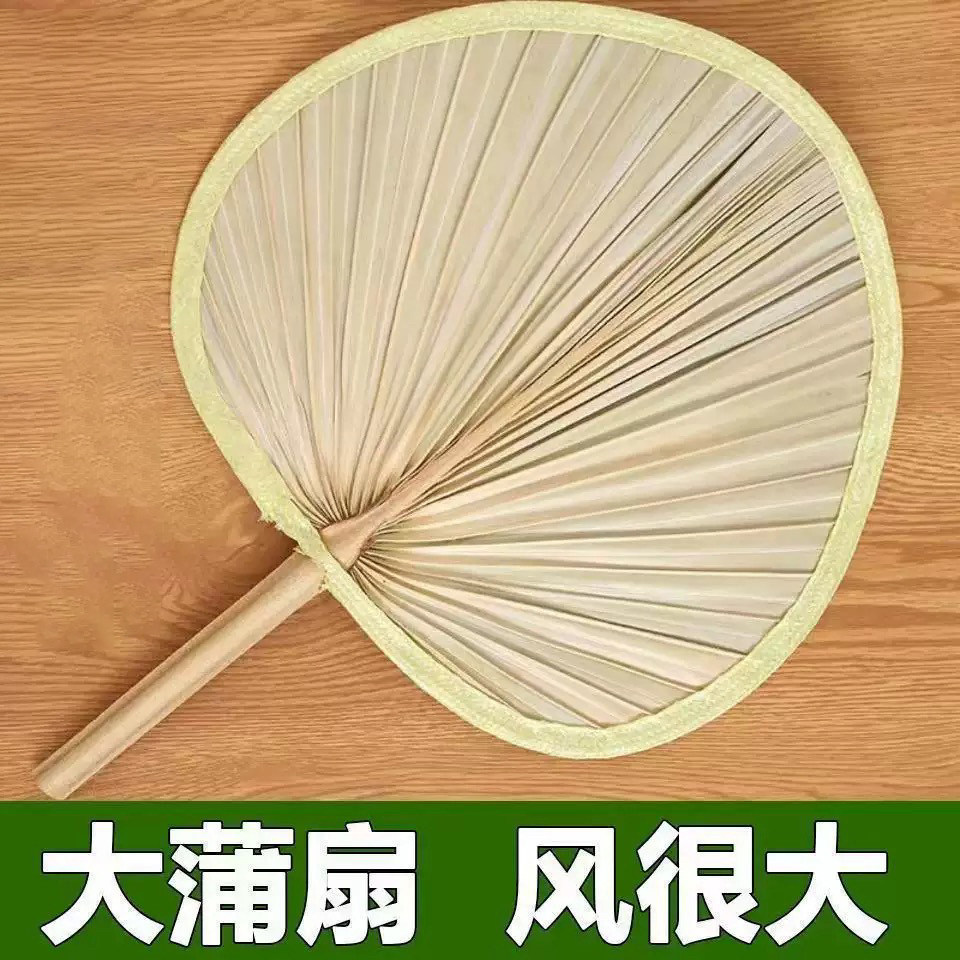 大蒲扇芭蕉扇济公扇老人老式手工图片