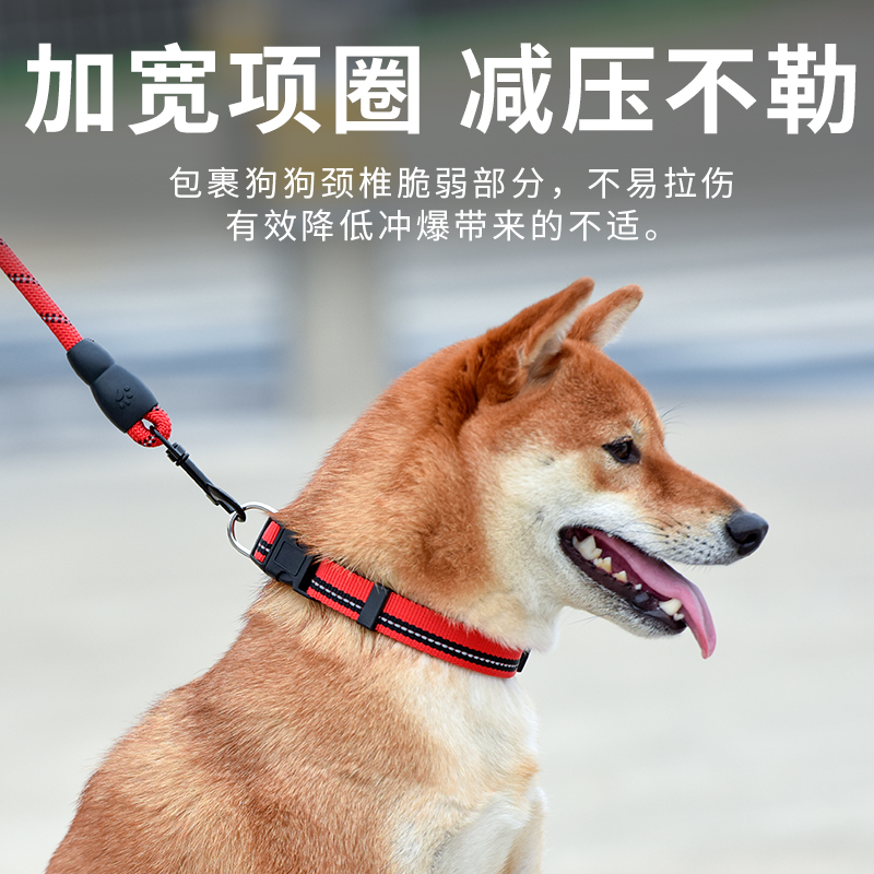 狗狗牵引绳狗绳子遛狗脖圈