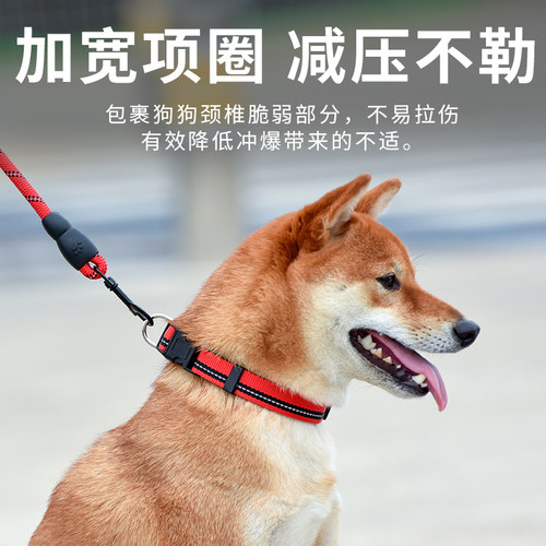 狗狗牵引绳狗绳子遛狗脖圈