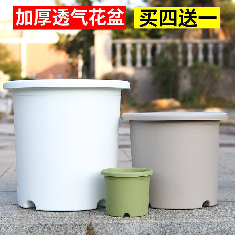 长盛四季加仑花盆控根透气塑料彩色北欧Deepot月季绿萝绣球月季盆图片
