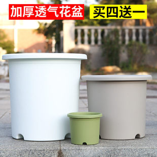 长盛四季加仑花盆控根透气塑料彩色北欧Deepot月季绿萝绣球月季盆