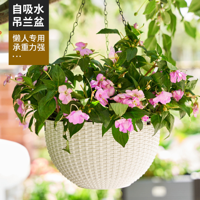 垂吊吊兰花盆悬挂式塑料藤编吊篮懒人吸水挂壁绿萝常春藤吊球加厚