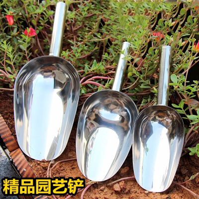 园艺工具不锈钢铲子铁锹