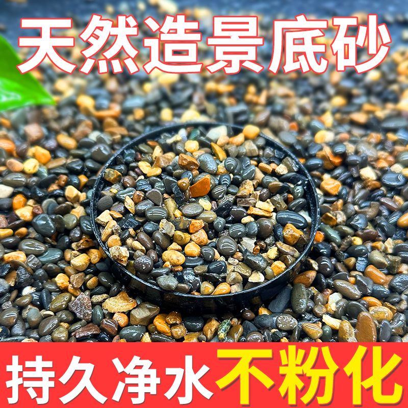 原生鱼缸底砂造景沙溪流砂溪流石沙子雷龙龟缸天然河沙石铺底装饰
