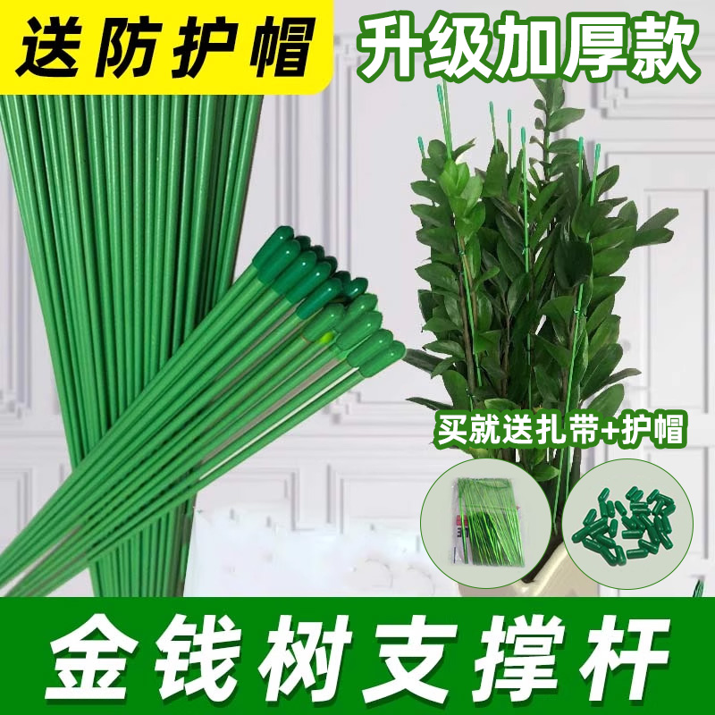 金钱树支撑杆爬藤架固定器园艺花