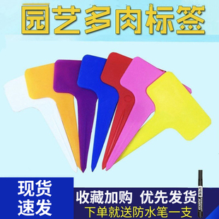 园艺多肉标签牌园艺植物花名花盆塑料标签防水小插牌多肉盆栽标签