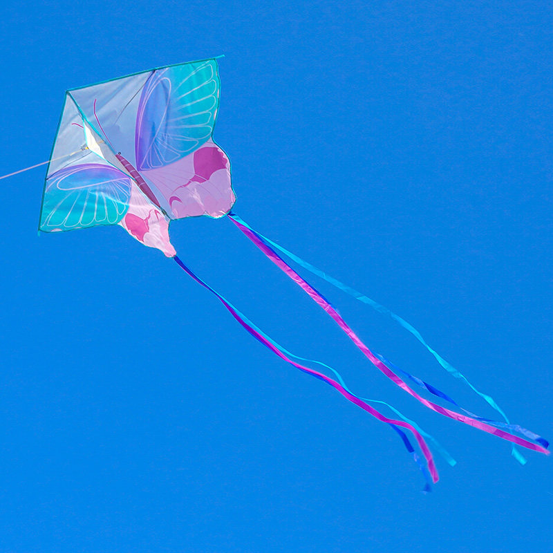 2022新款情侣蝴蝶网红风筝中国风成人大人初学微风易飞儿童风筝