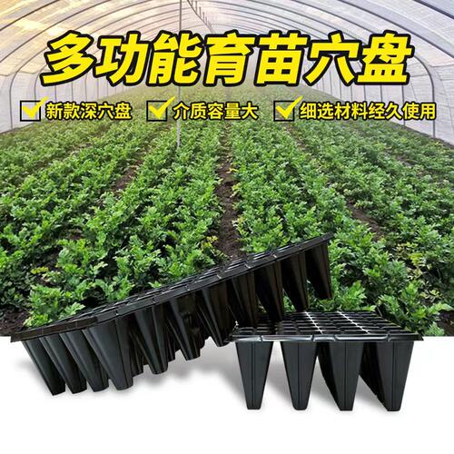 育苗盘穴盘塑料杯种植神器育苗盆营养钵蔬菜育种扦插农用育苗托盘