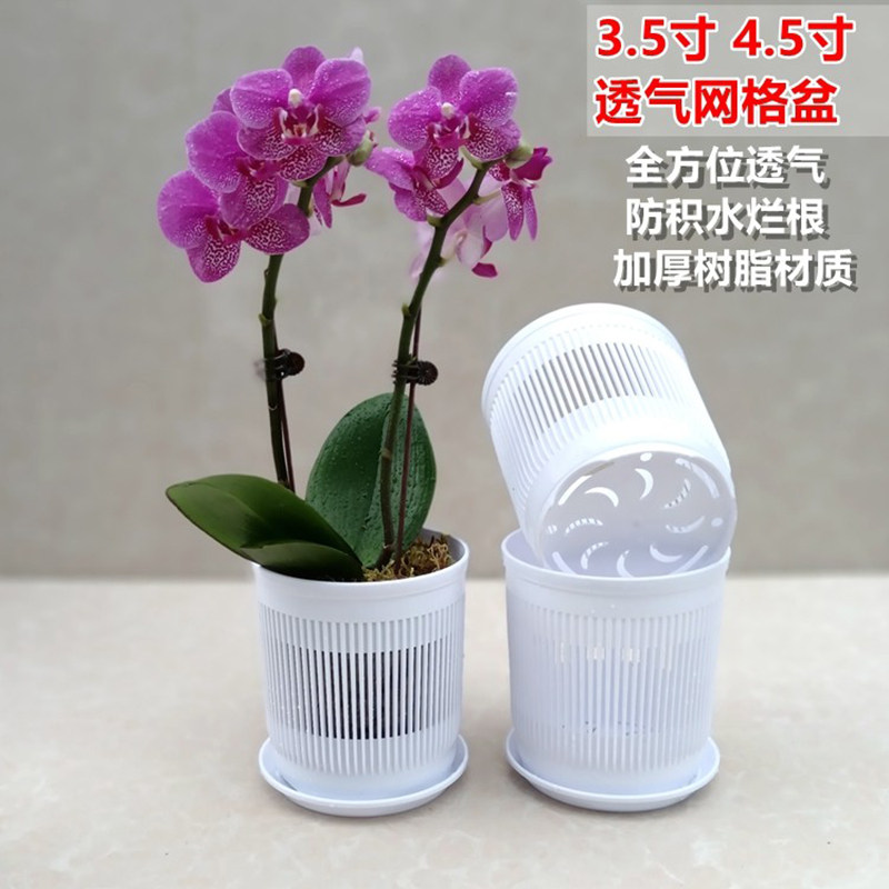 3.5寸蝴蝶兰花盆控根网格透气专用育苗兰花杯石斛盆栽种植育苗钵