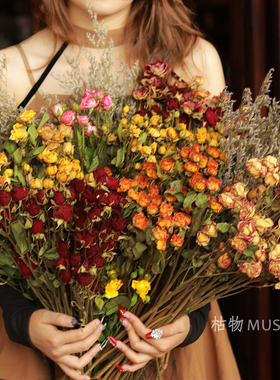 干花花束多头玫瑰风干真花毕业拍照复古客厅装饰摆件天然家居摆设