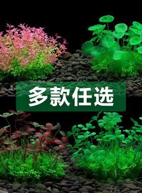 鱼缸造景摆件塑料彷真假水草海草草球海带塑料植物水族箱懒人装饰