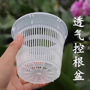 兰花盆栽方盆加厚透气塑料花盆控根盆定植篮绿萝水培阳台家用盆